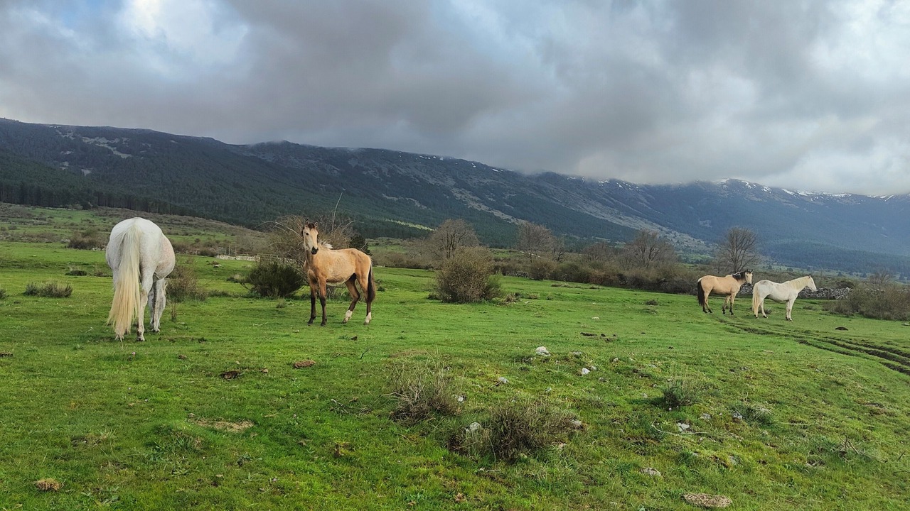 Photo of Others in Martincano