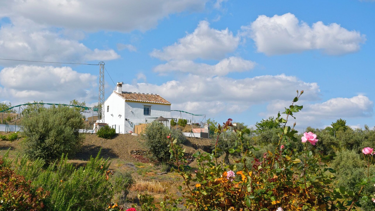 Photo of Others in Comares