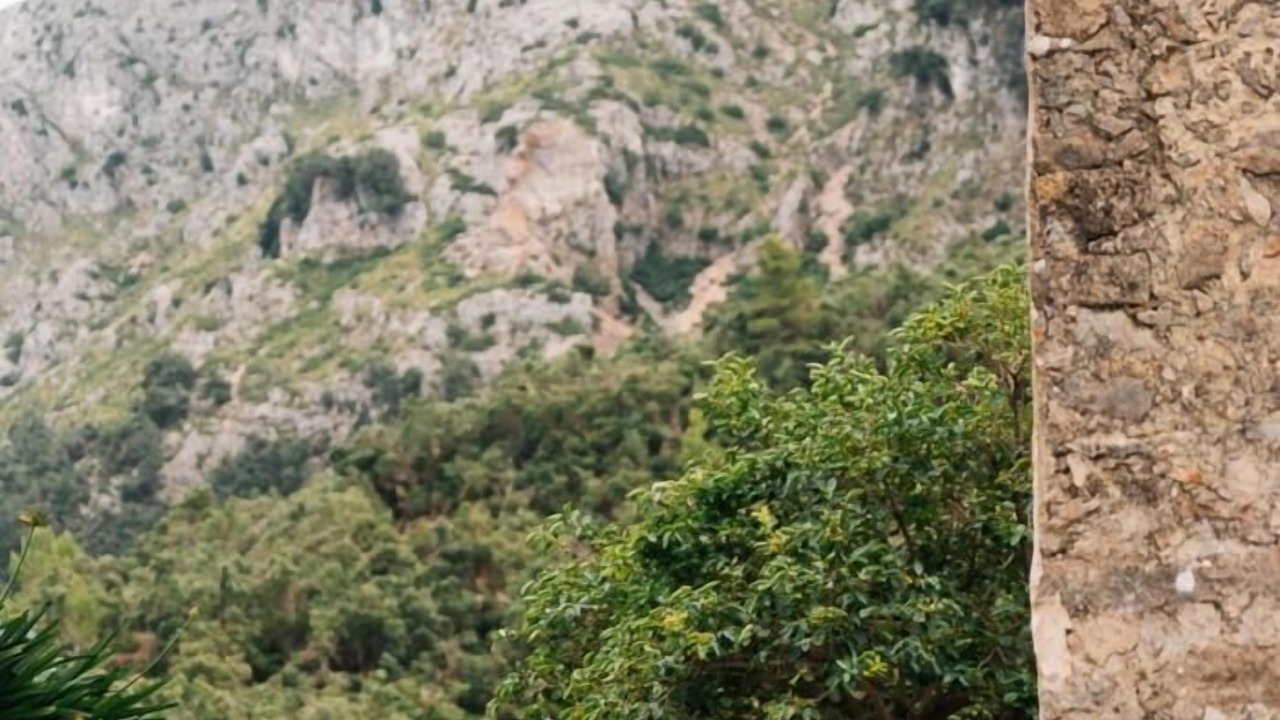 Photo of Others in Escorca