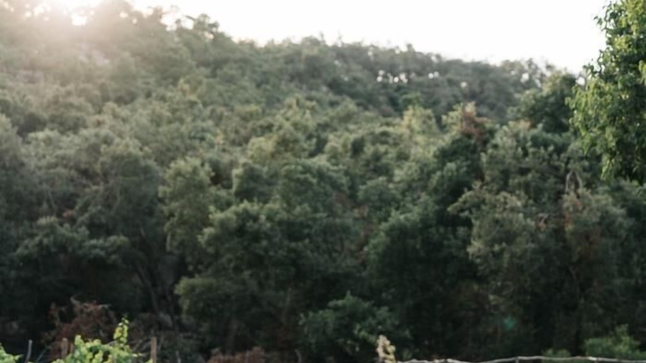 Photo of Others in Escorca