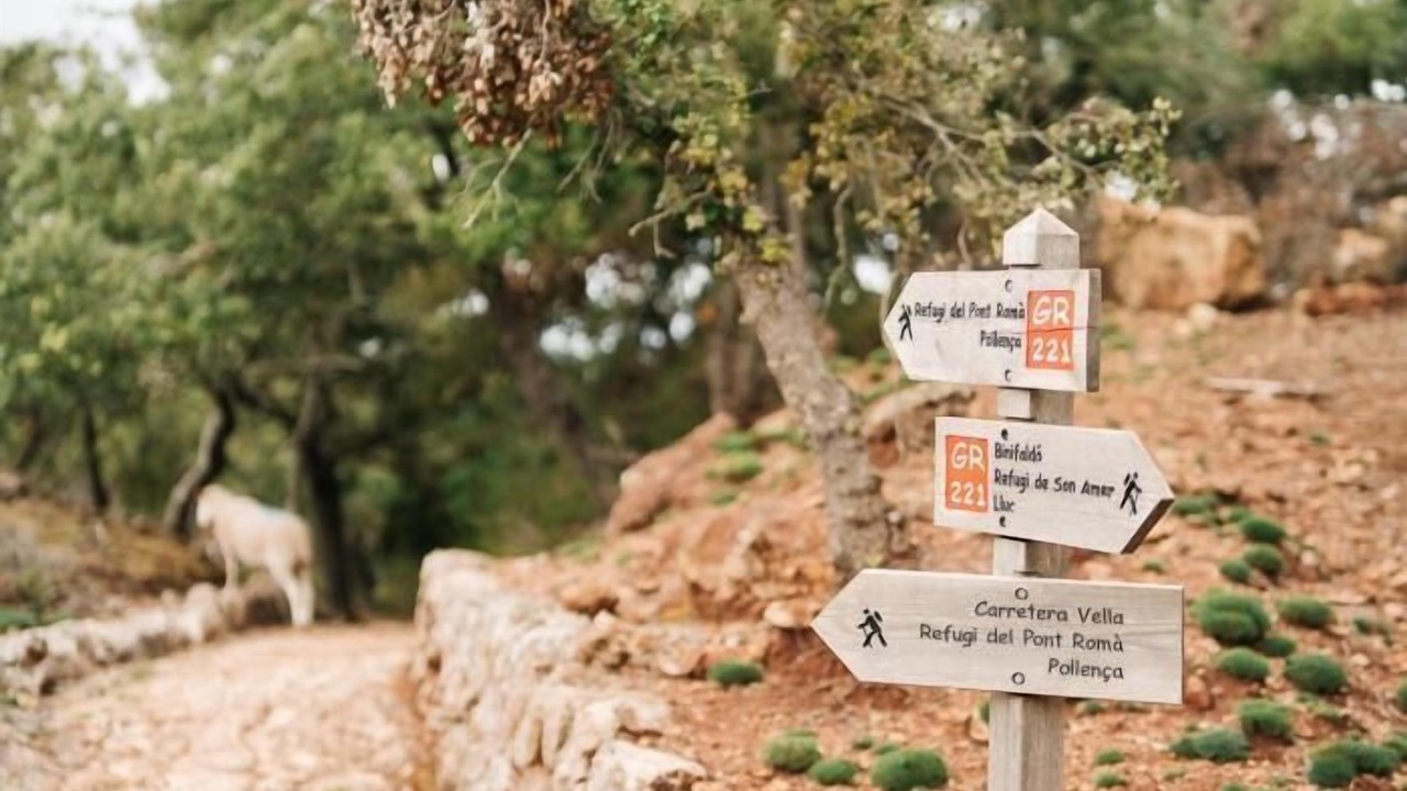Photo of Outdoor in Escorca