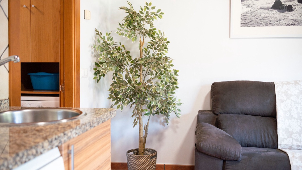 Photo of Livingroom in Avin
