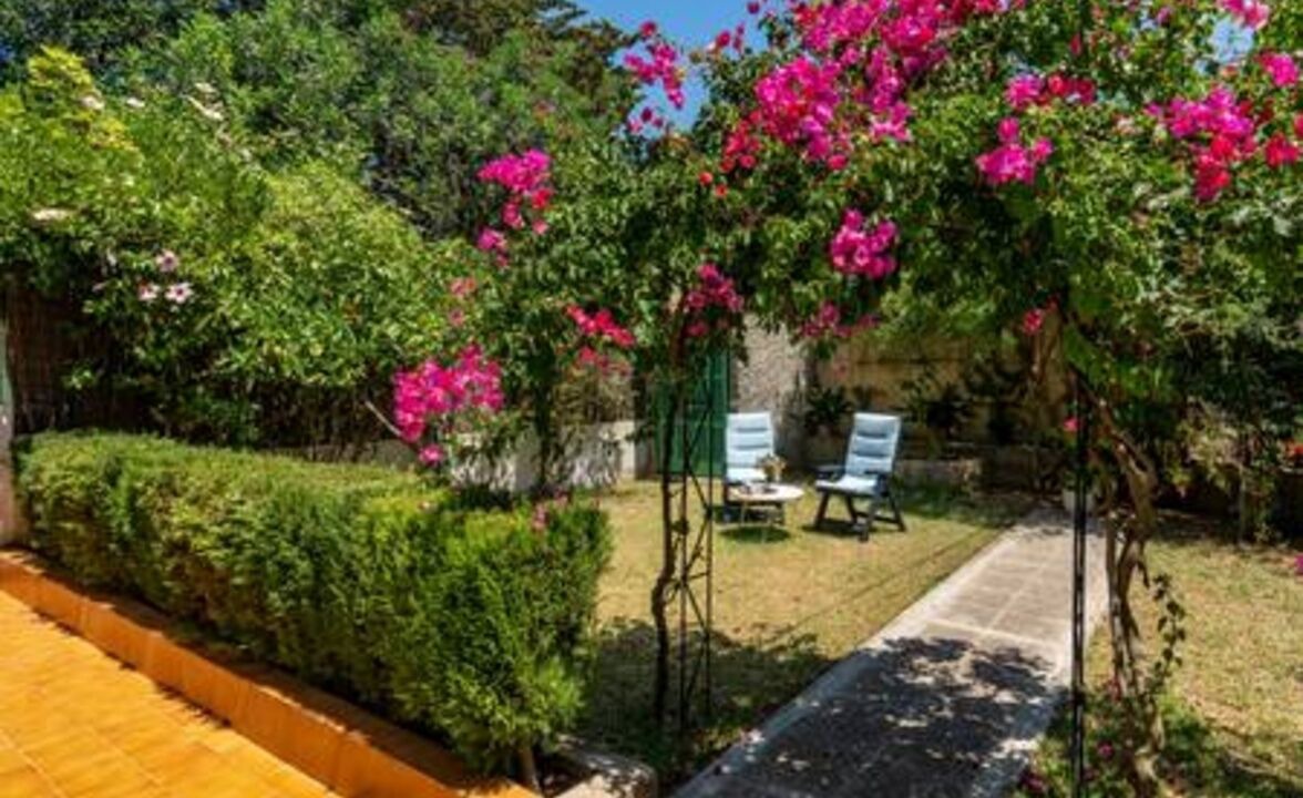 Photo of Outdoor in Puerto de Soller