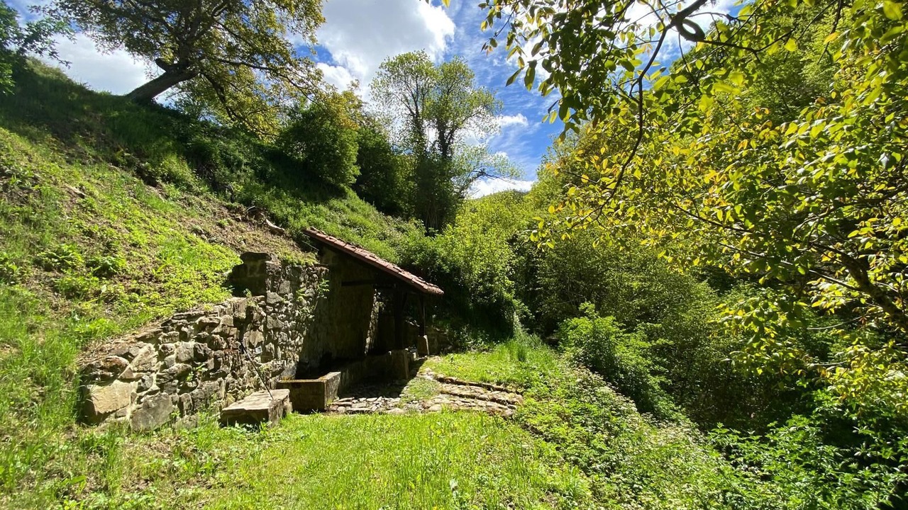 Photo of Outdoor in Aniezo