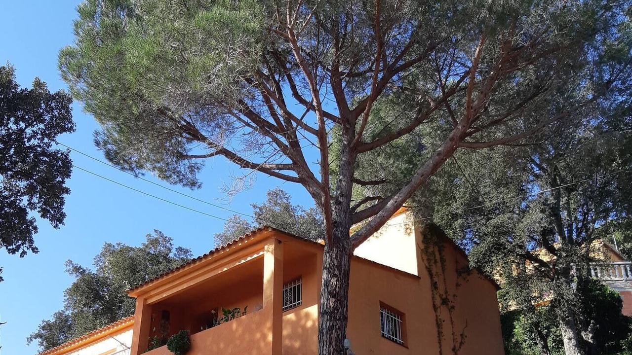 Photo of Outdoor in Rio d'Oro