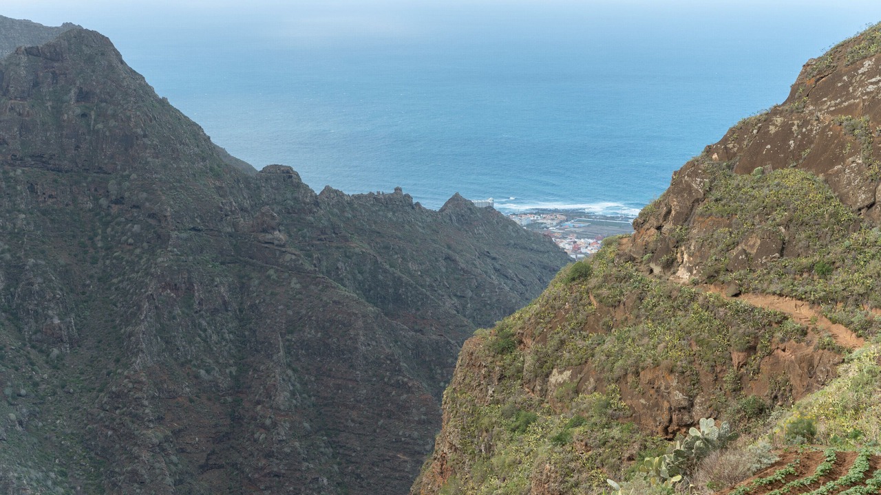 Photo of Others in San Cristobal de La Laguna