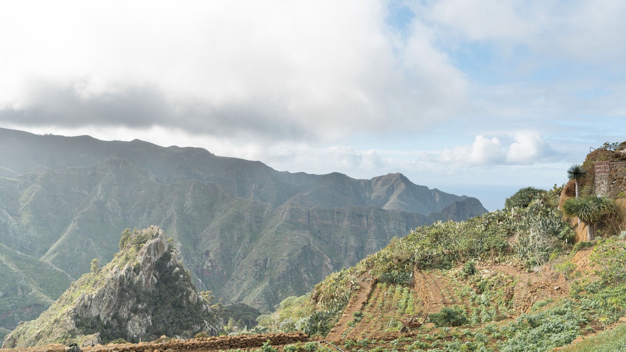 Photo of Others in San Cristobal de La Laguna