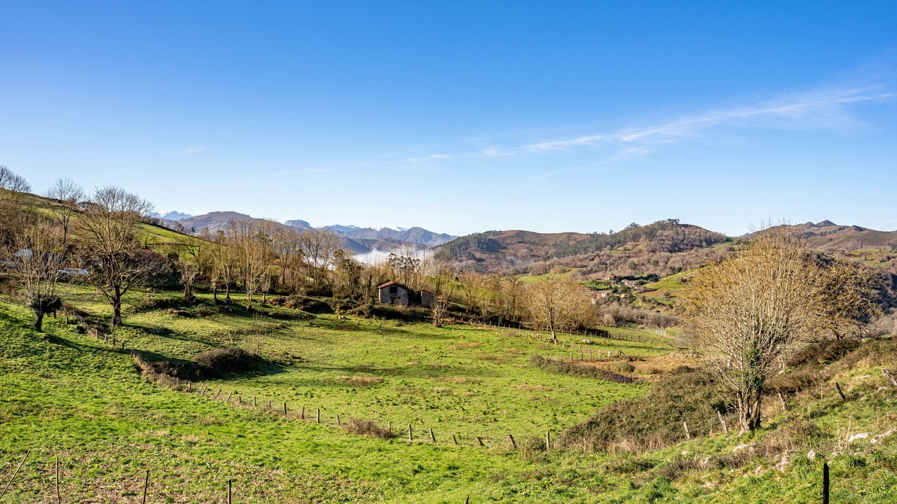 Photo of Others in Santianes de Ola