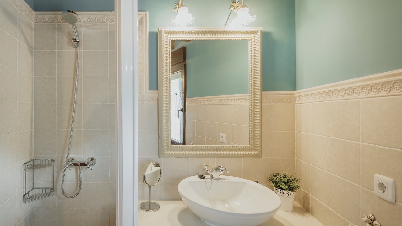 Photo of Bathroom in Neila de San Miguel