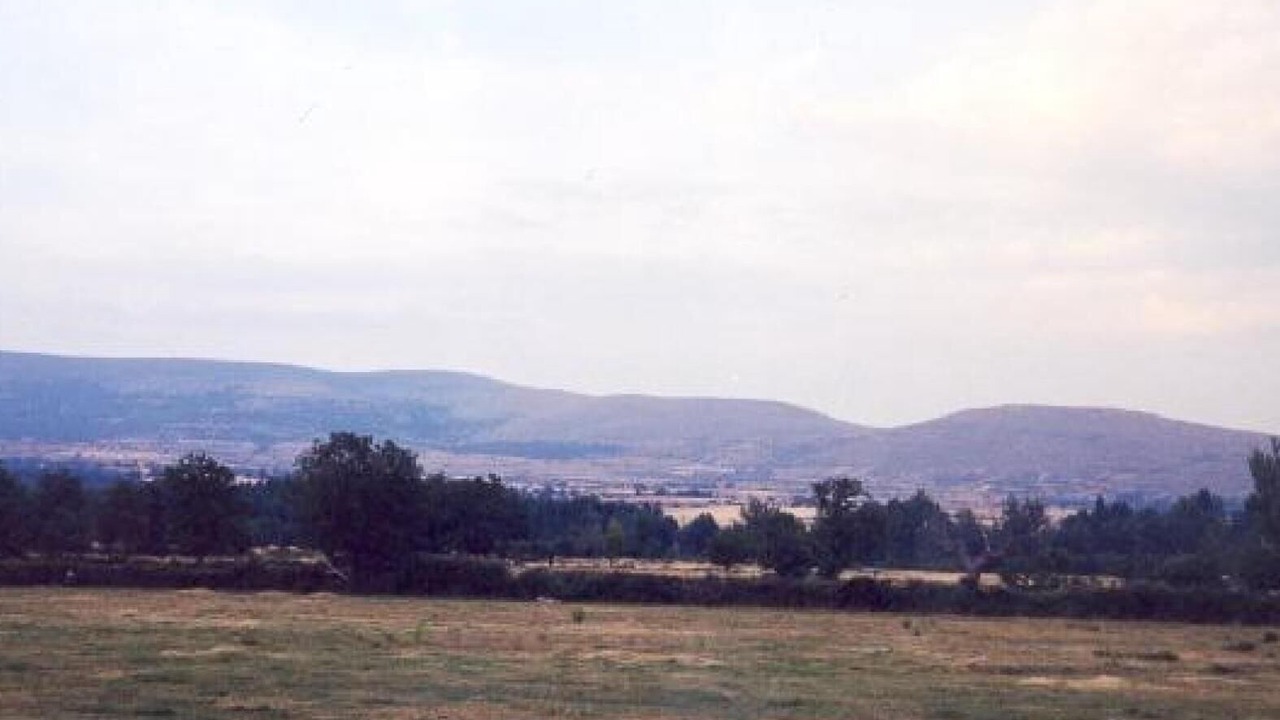 Photo of Others in San Andres de Soria