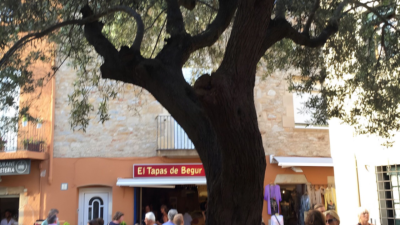 Photo of Others in Sa Riera