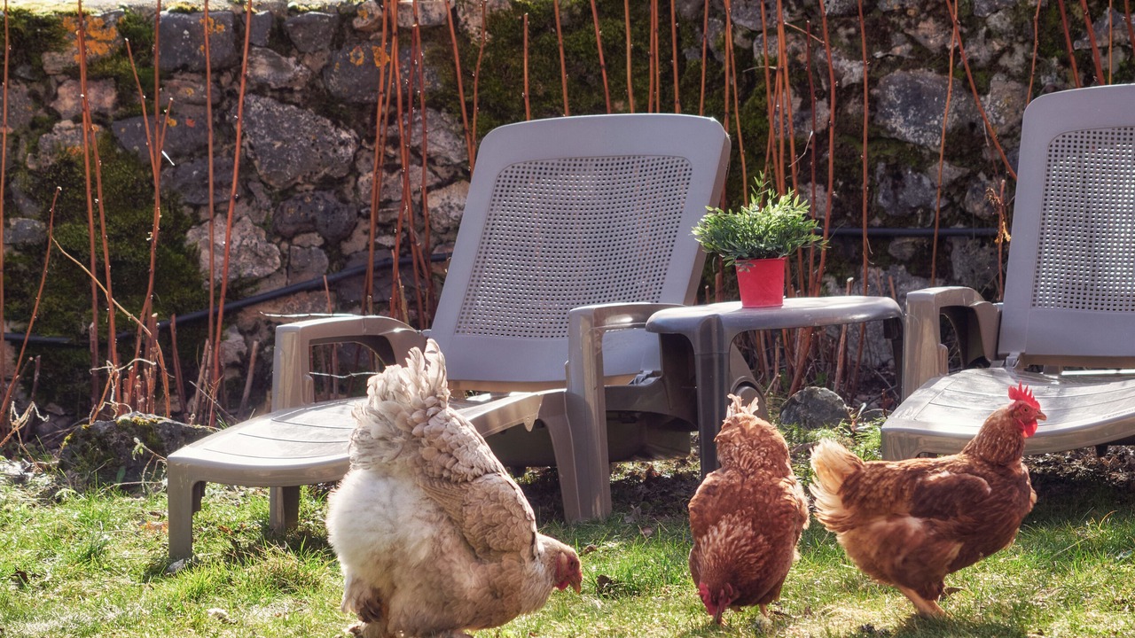 Photo of Outdoor in San Emiliano