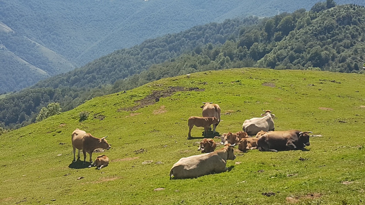 Photo of Others in Quiros