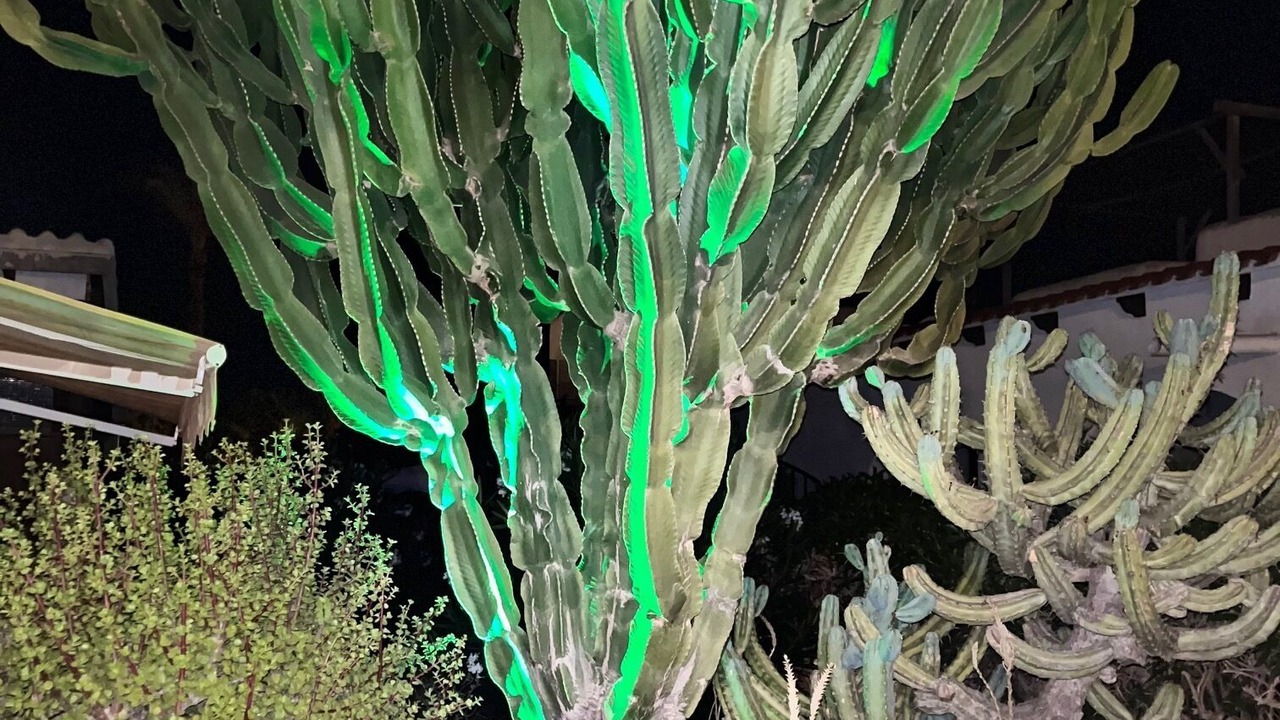 Photo of Outdoor in Puerto Rey