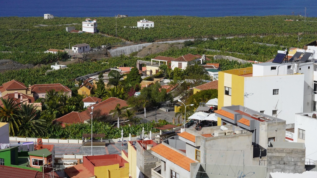 Photo of Outdoor in Tazacorte