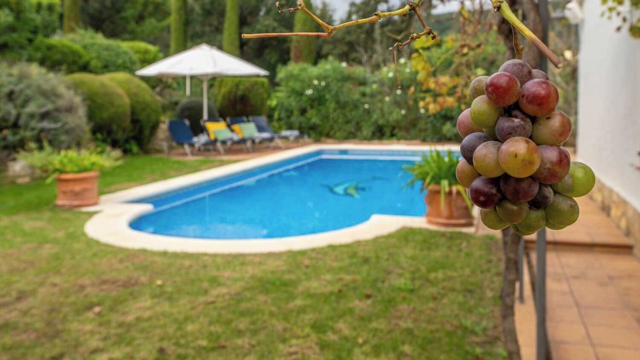 Photo of Outdoor in Santa Cristina de Aro