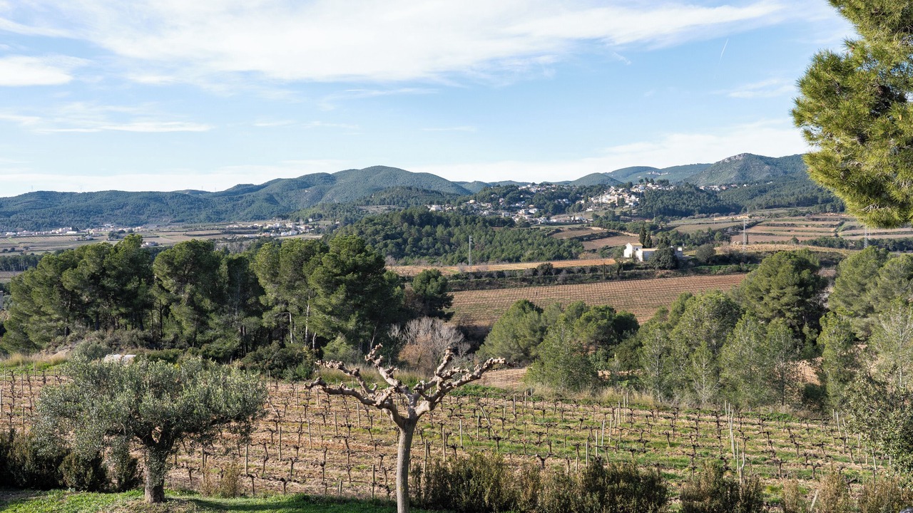 Photo of Others in Torrelles de Foix