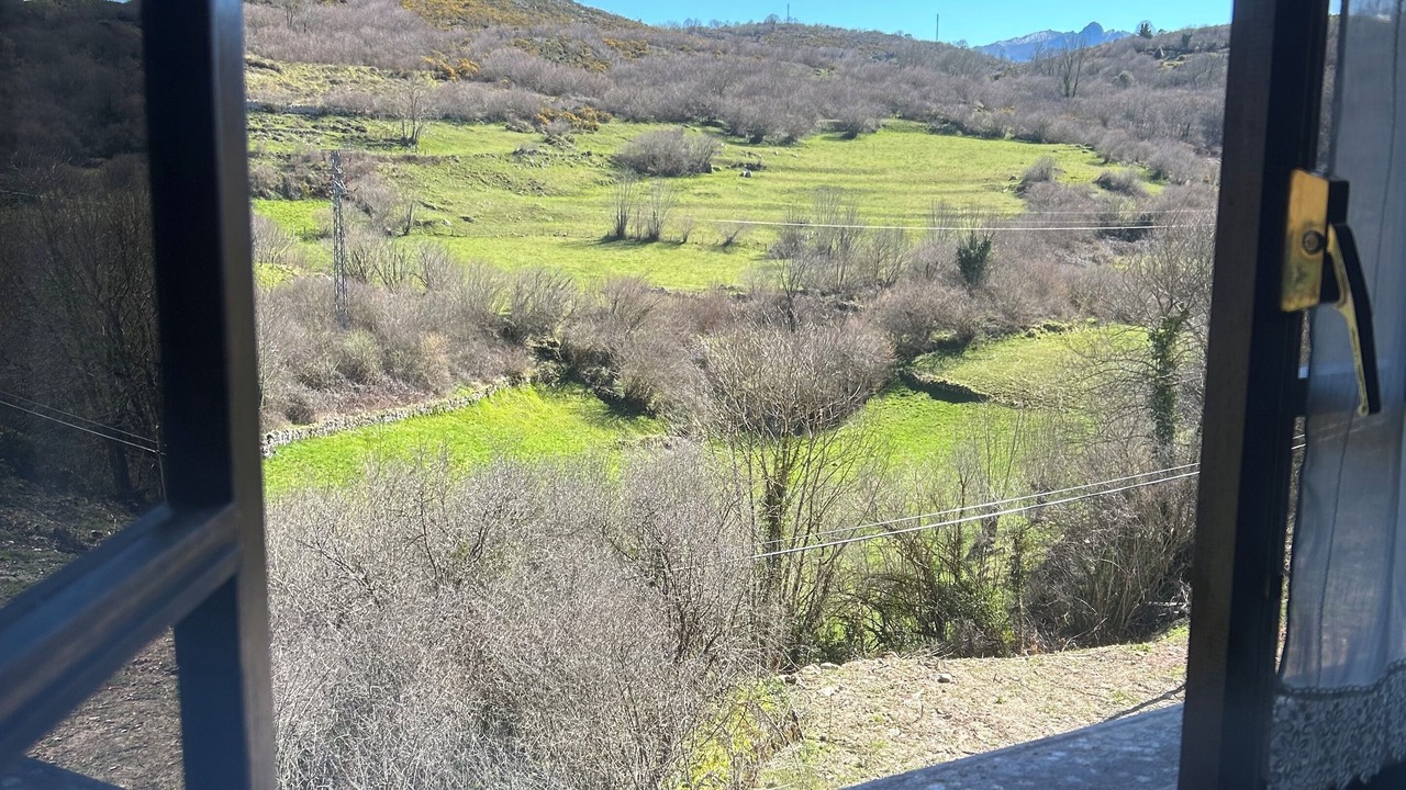 Photo of Others in Puente Nuevo