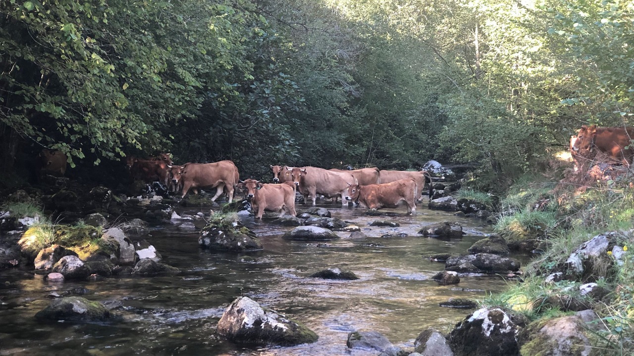 Photo of Others in Puente Nuevo