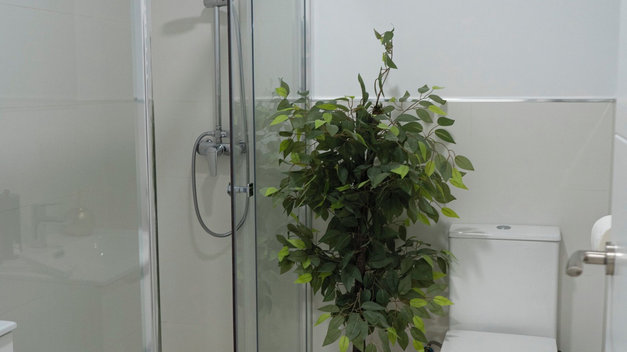 Photo of Bathroom in Almenara