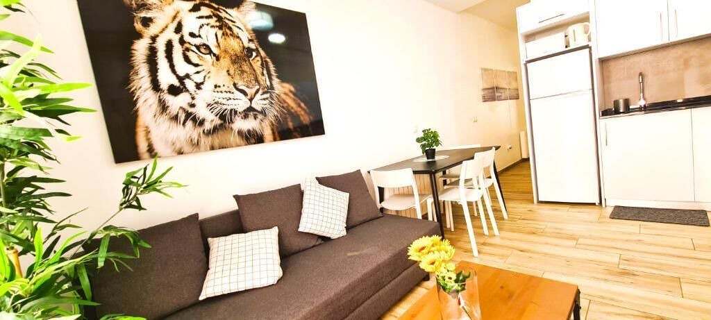 Photo of Livingroom in Almenara