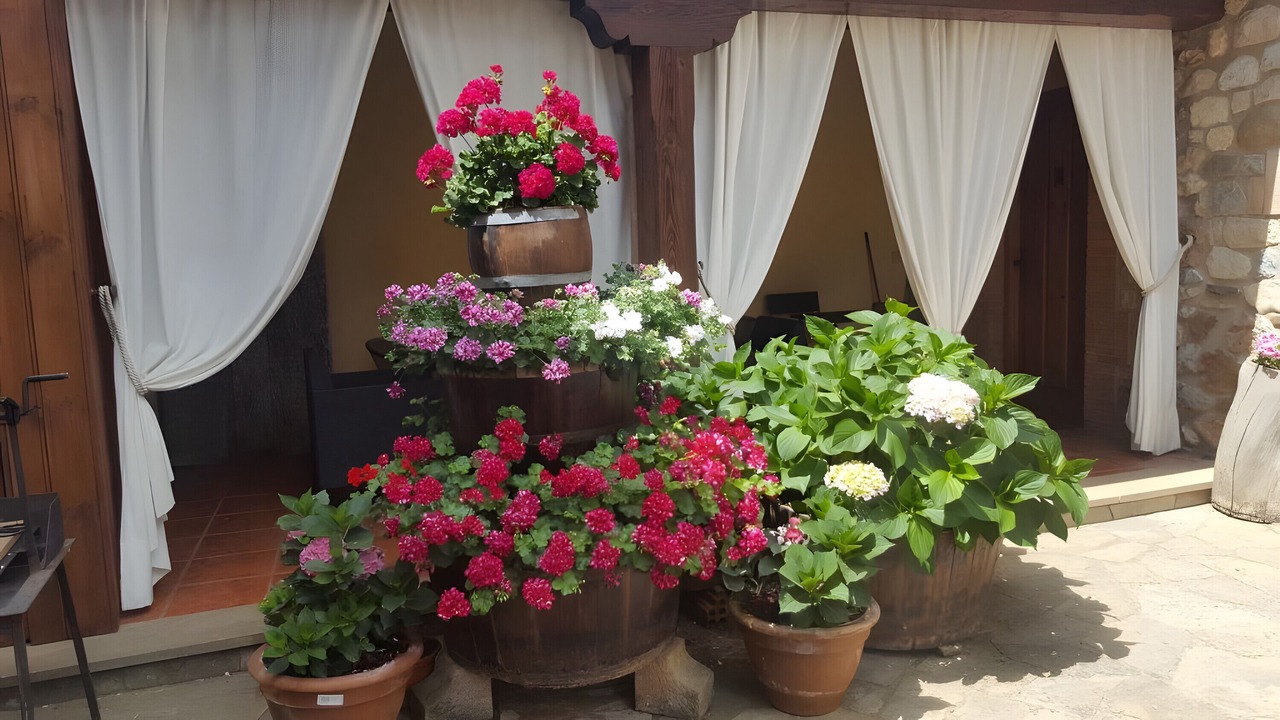 Photo of Outdoor in Castrejon de la Pena