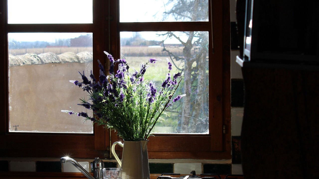 Photo of Kitchen in Saldana