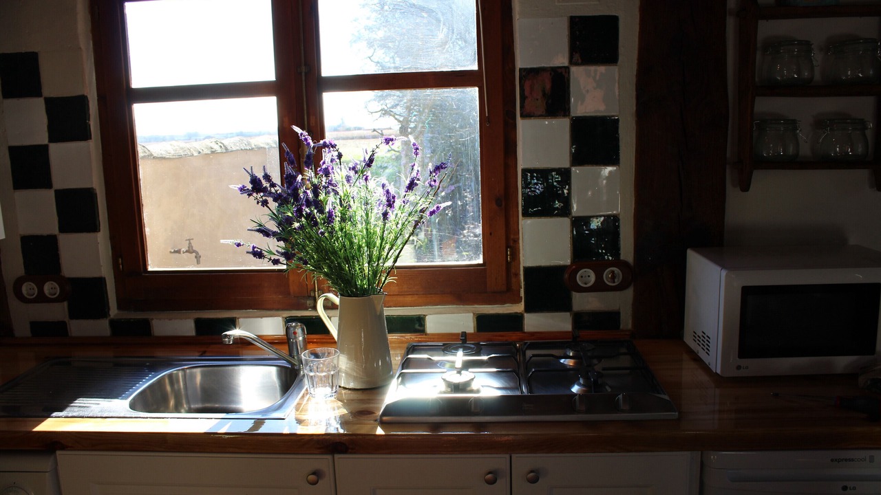 Photo of Kitchen in Saldana