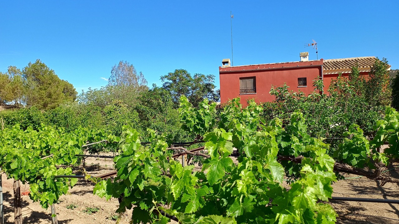 Photo of Outdoor in Caravaca de la Cruz