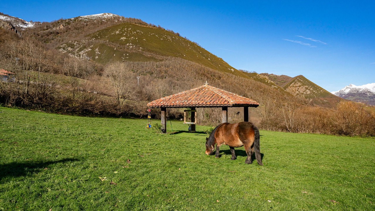 Photo of Others in Quiros