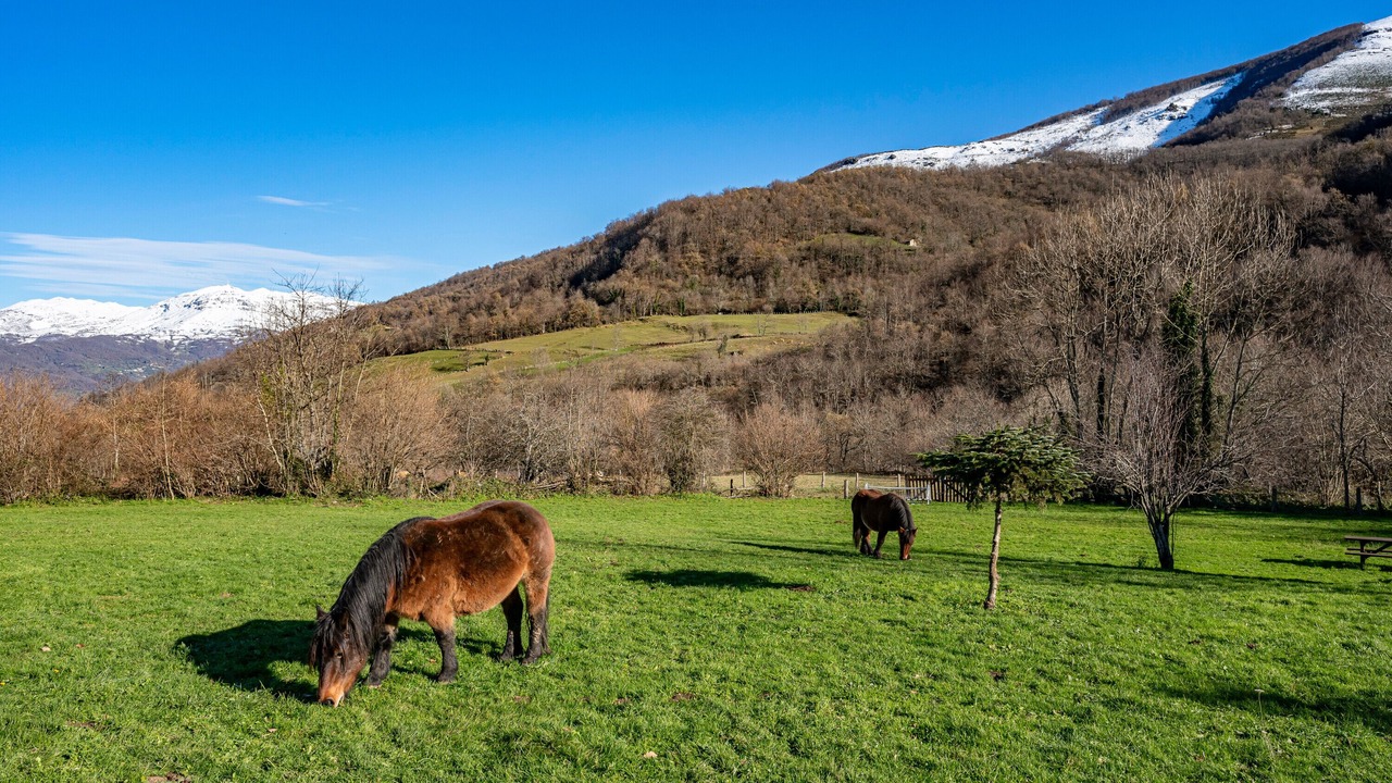 Photo of Others in Ricabo