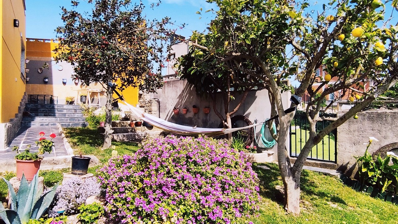 Photo of Outdoor in Faro