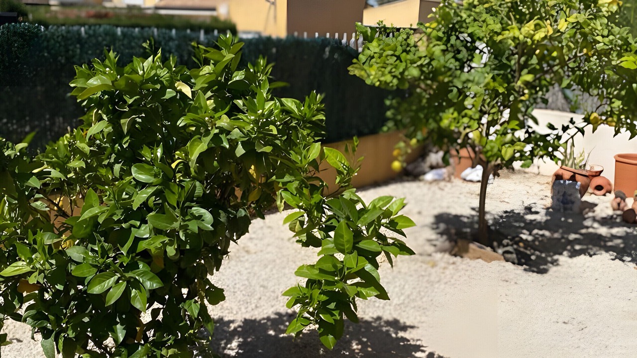 Photo of Outdoor in Mazarron