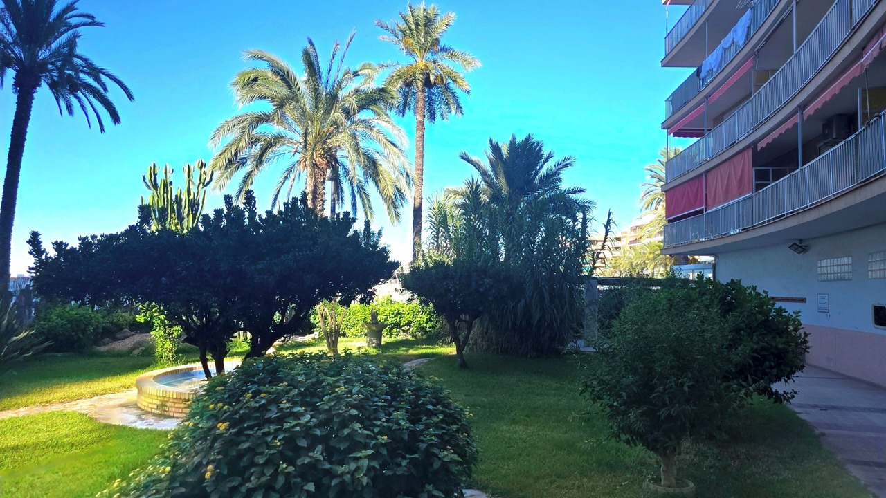 Photo of Outdoor in Torrevieja