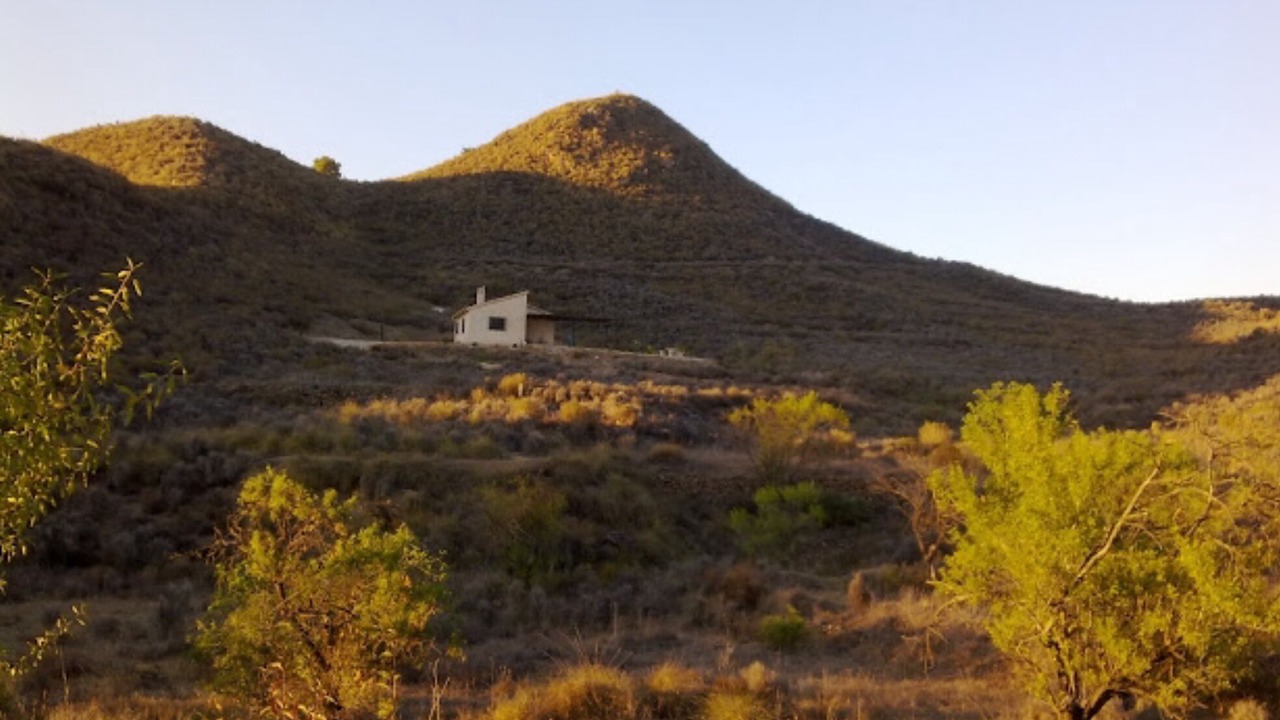 Photo of Others in Purias