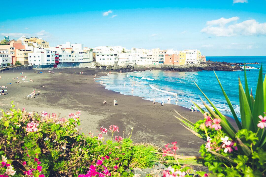 Photo of Others in Puerto de la Cruz