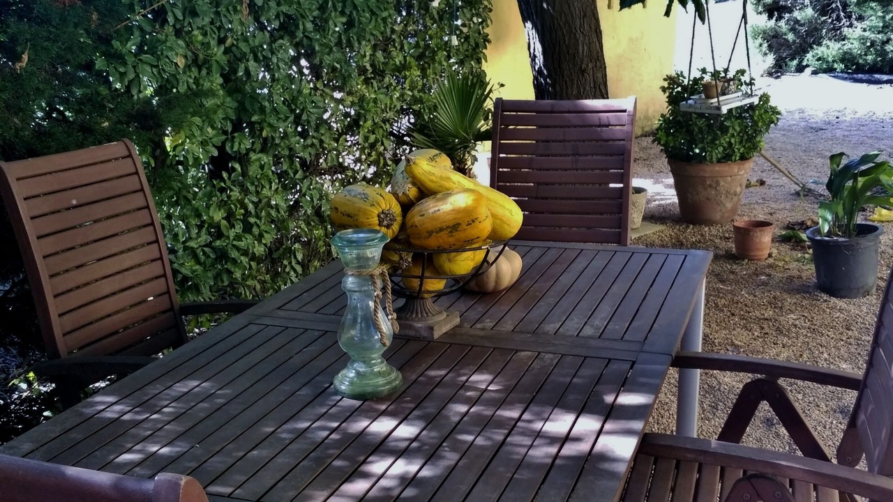 Photo of Outdoor in Vilobi d'Onyar