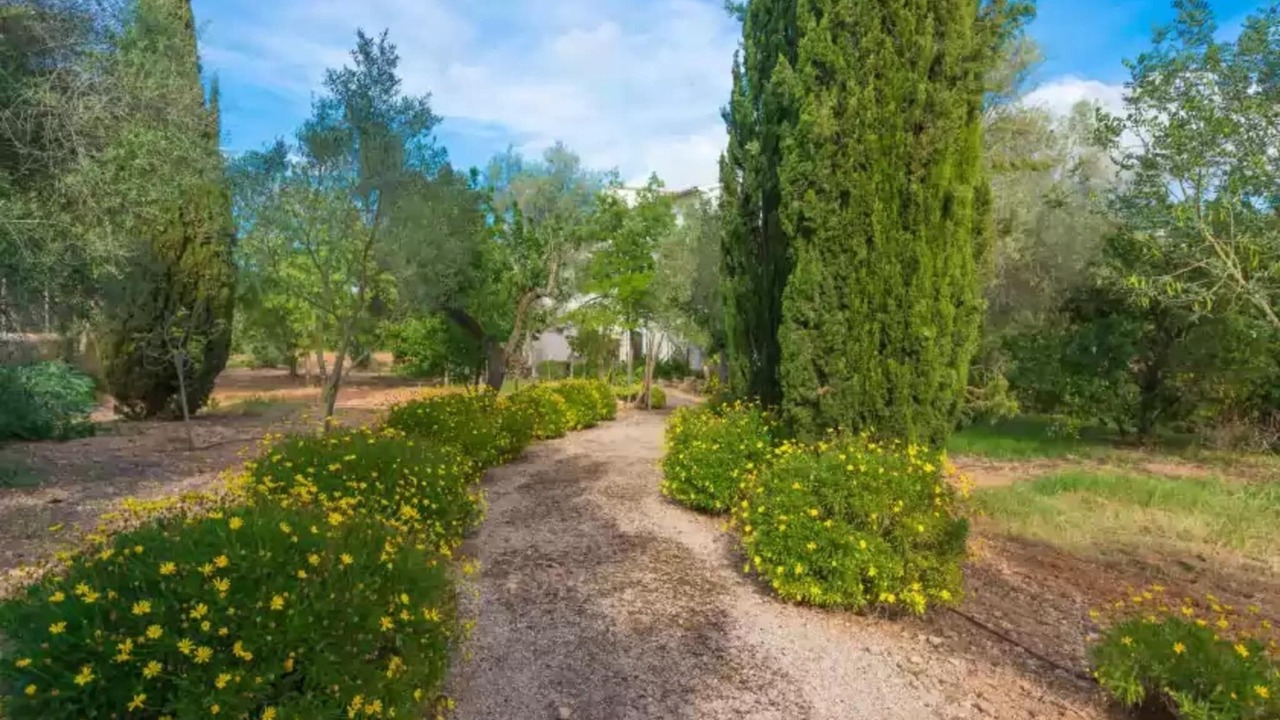 Photo of Outdoor in Santa Maria del Cami
