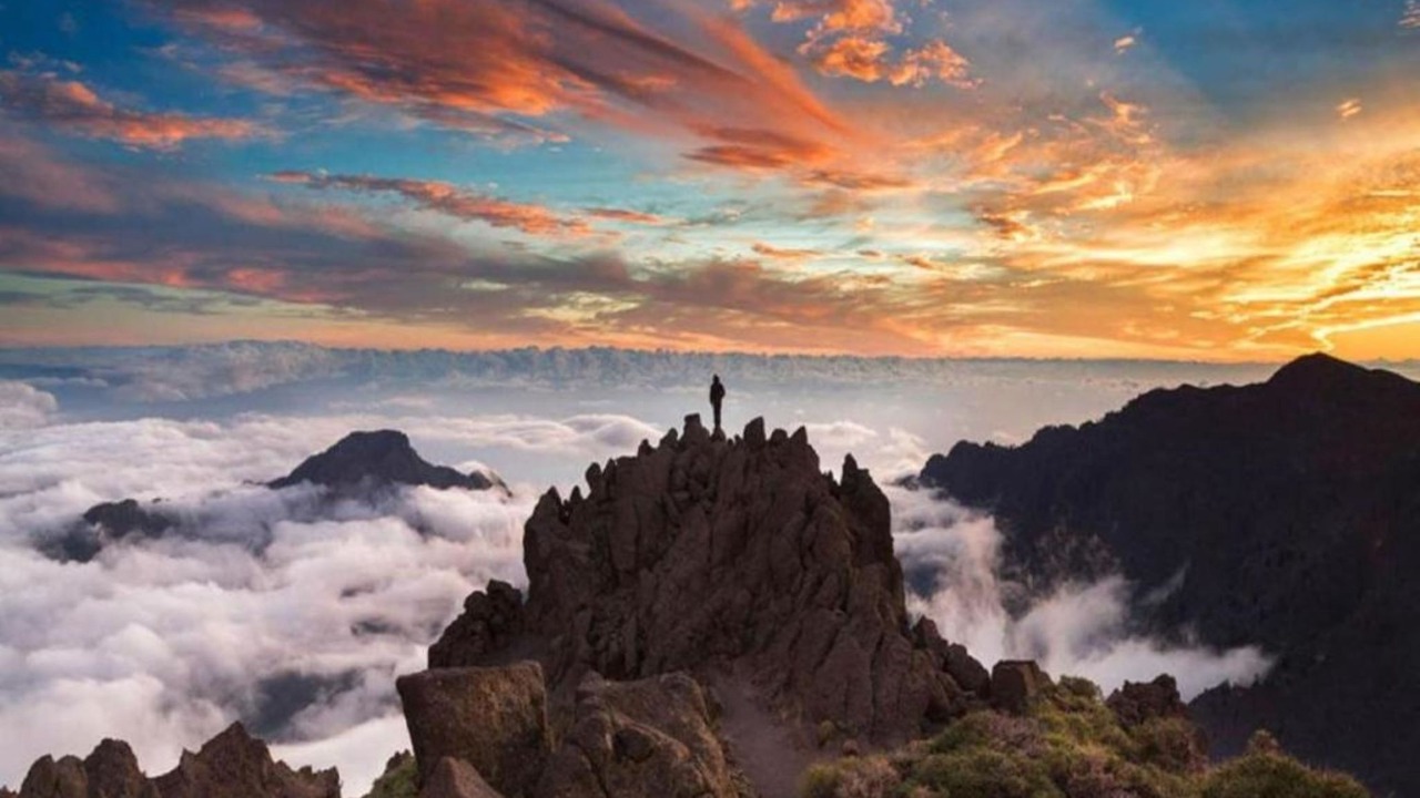 Photo of Others in Santa Cruz de la Palma
