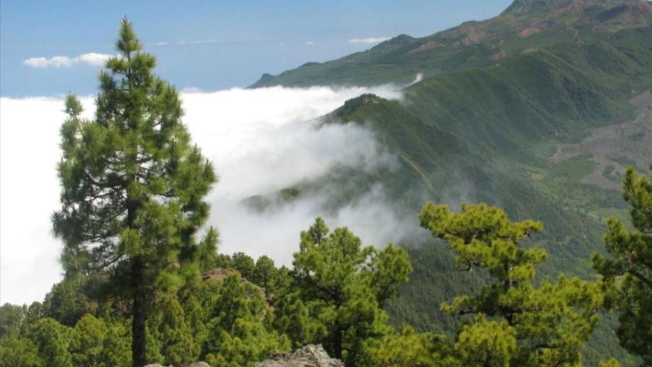 Photo of Others in Santa Cruz de la Palma