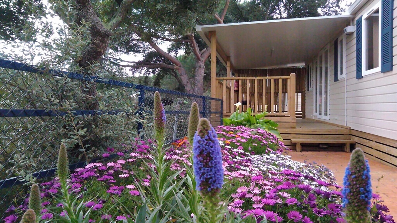 Photo of Outdoor in Calella