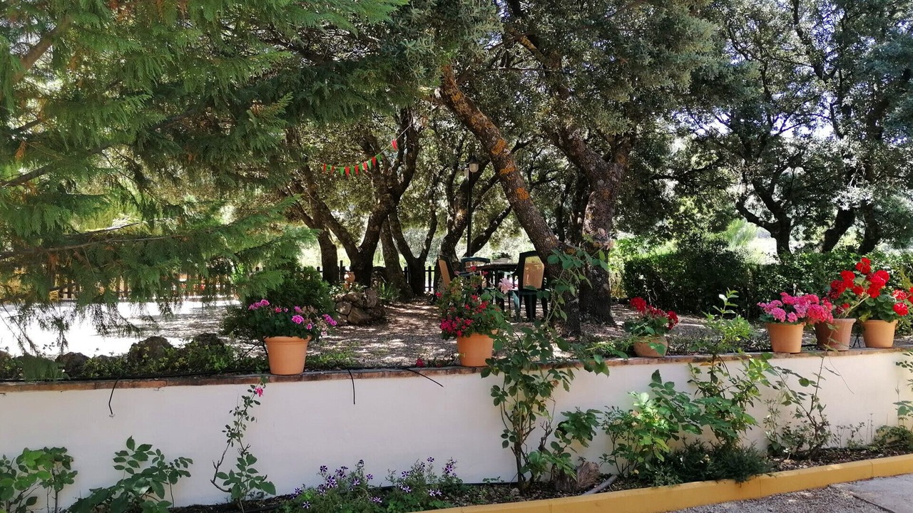 Photo of Outdoor in Los Villares