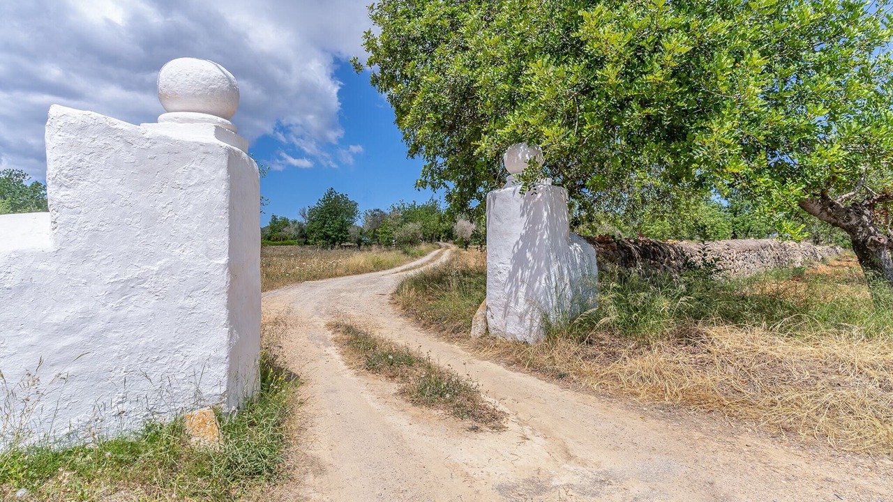 Photo of Others in Sant Joan de Labritja