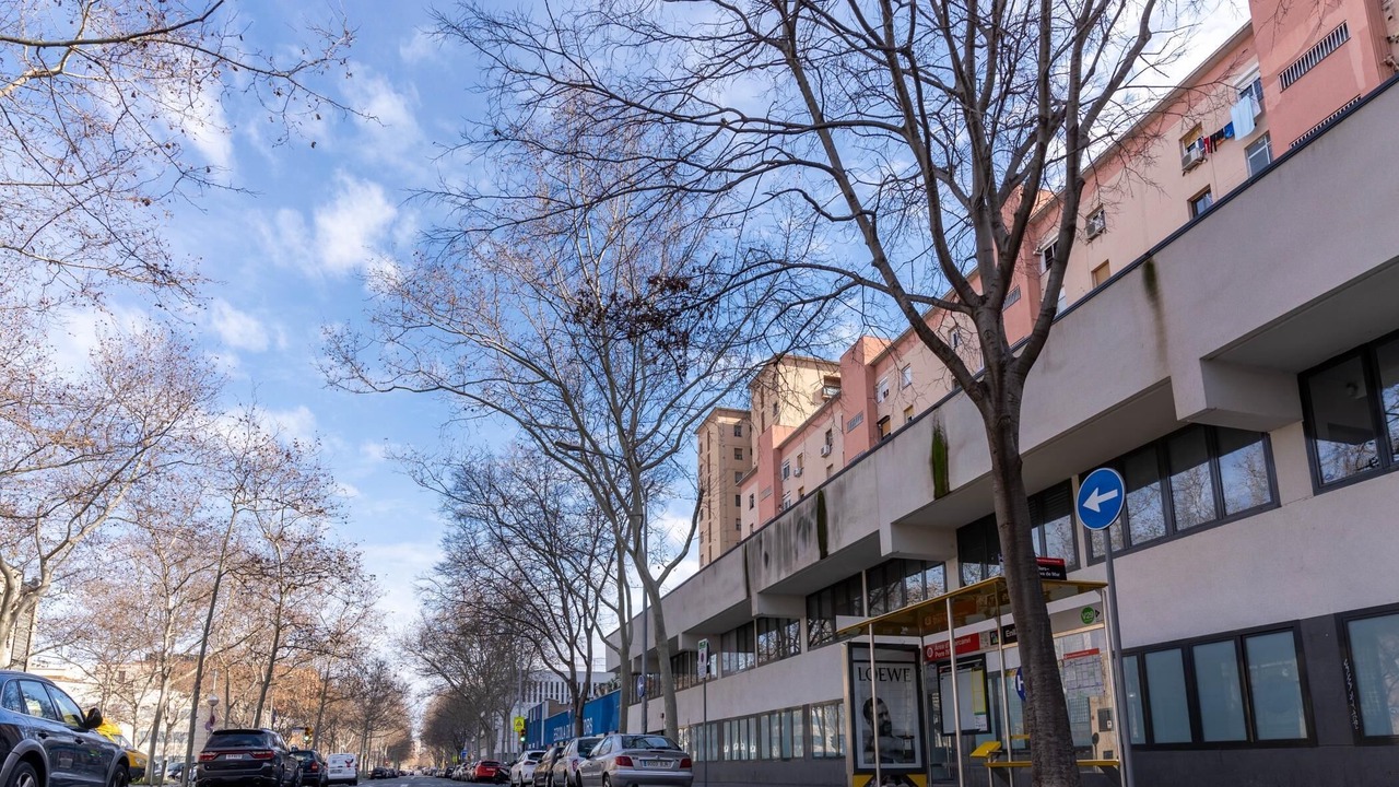 Photo of Others in Provencals del Poblenou