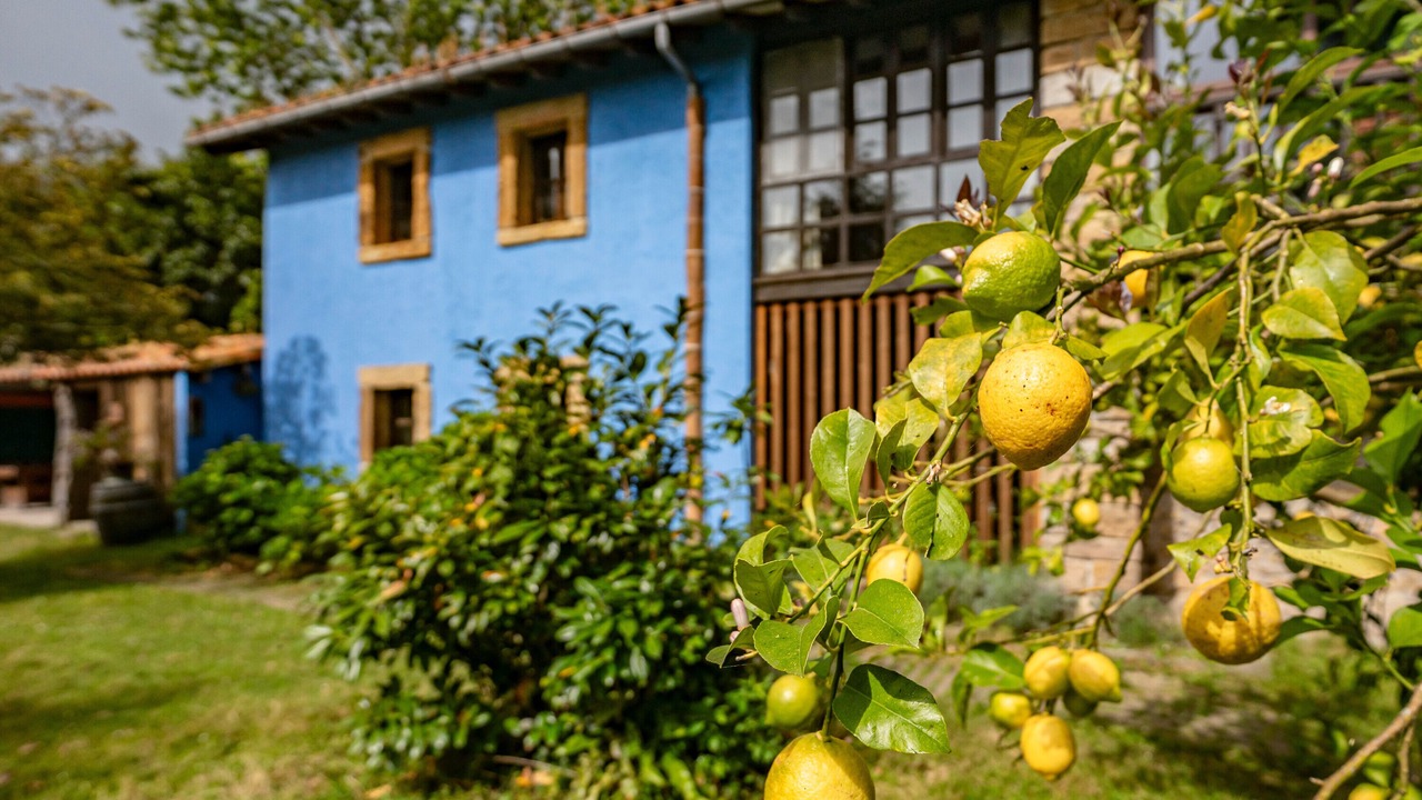 Photo of Outdoor in Villaviciosa