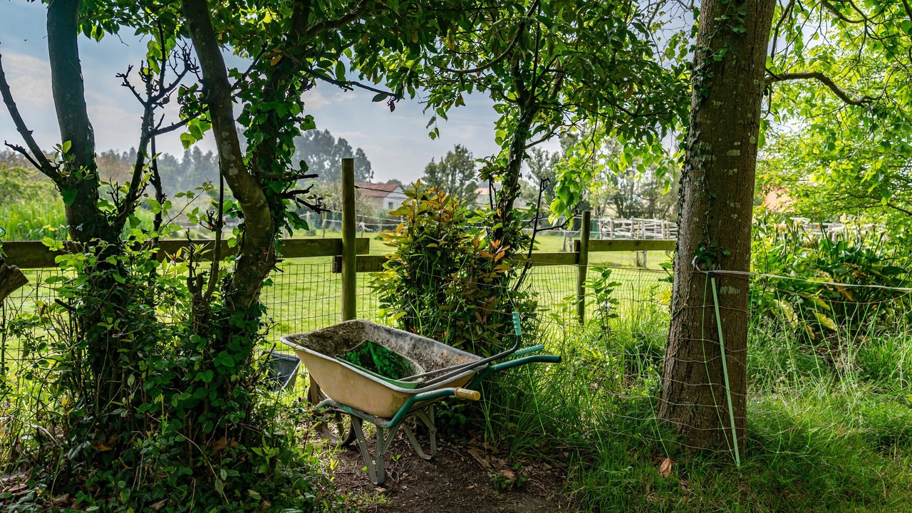 Photo of Outdoor in Villaviciosa
