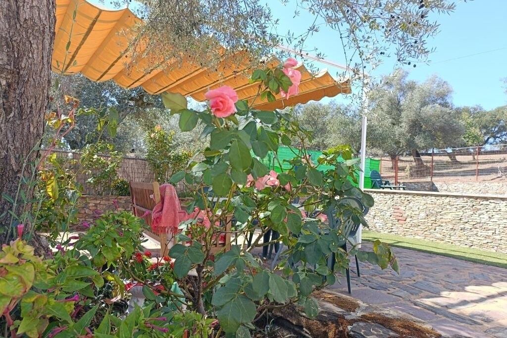 Photo of Patio Balcony in Aracena