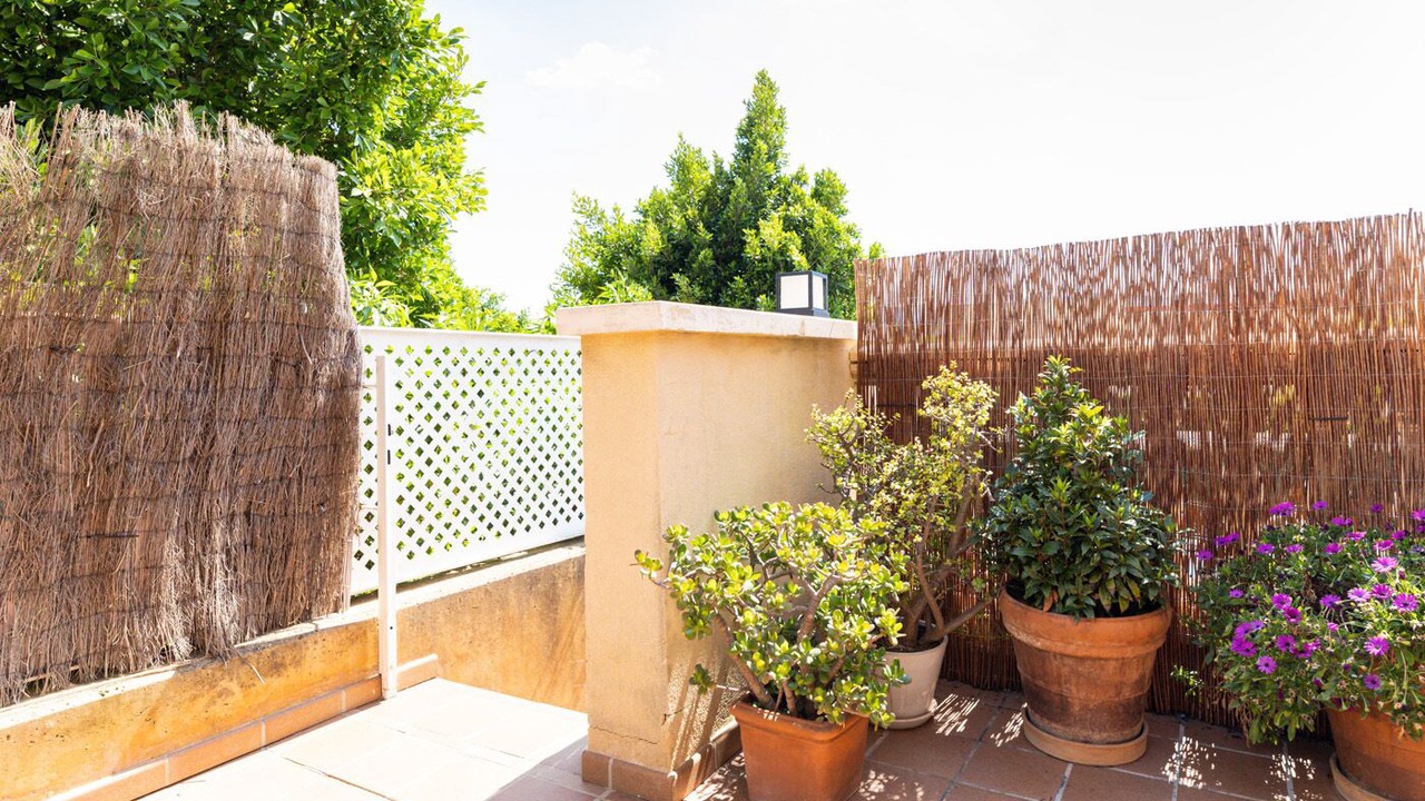 Photo of Outdoor in Los Almendros