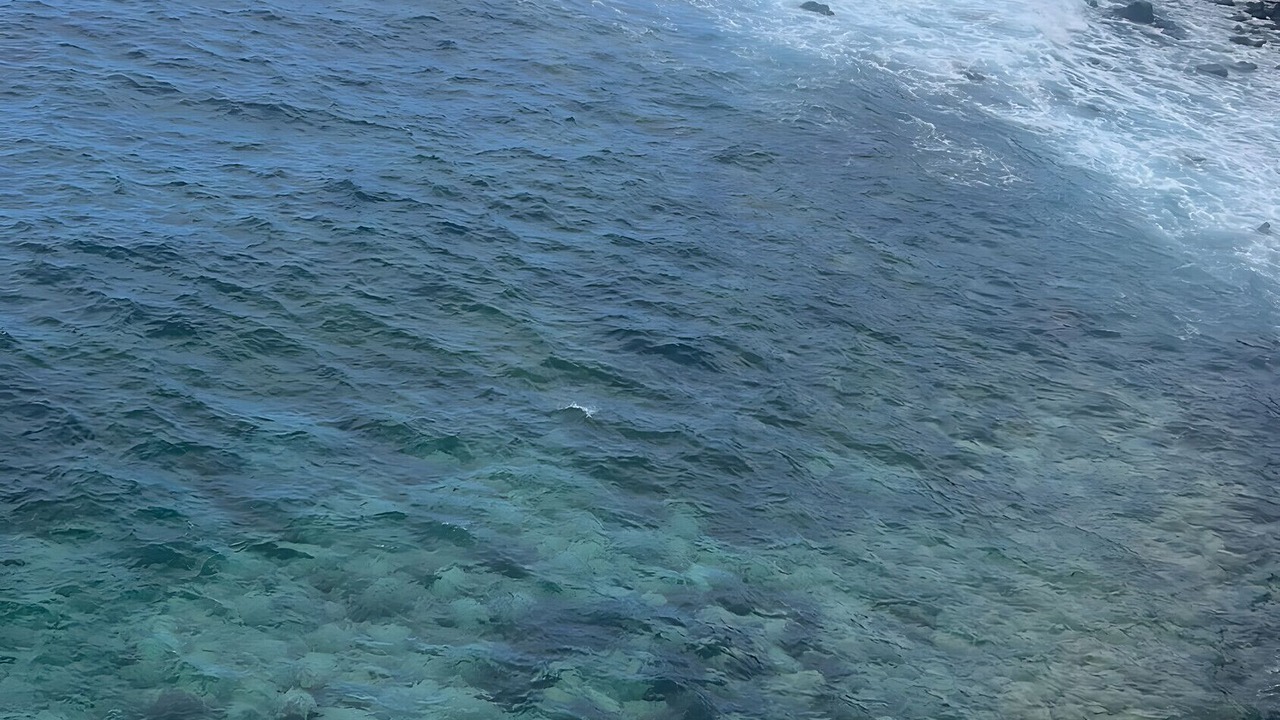 Photo of Others in Barlovento