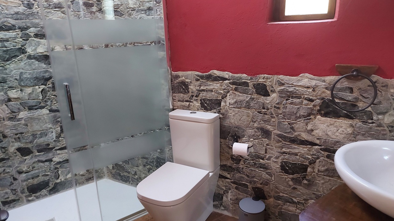 Photo of Bathroom in Alar del Rey